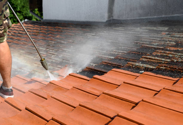 Deck Cleaning Services in Brushy Creek, TX