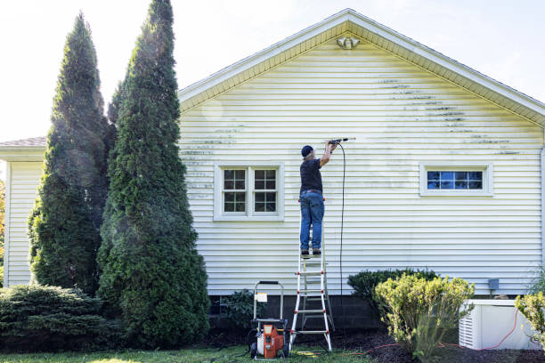 Best Affordable Pressure Washing  in Brushy Creek, TX